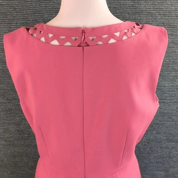 For Kitty Rescue! Loft Cutout Sheath Dress - Picture 7 of 13